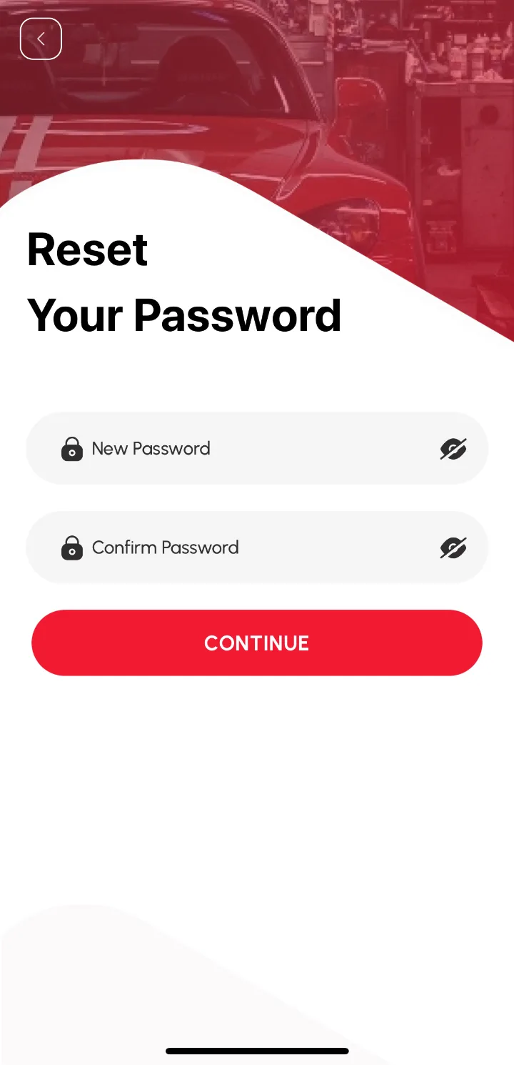 Loggy app screenshot: Resetting a forgotten password from the Log In page (3 of 3)